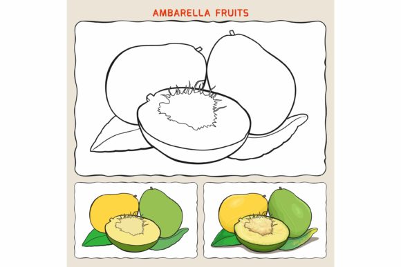 Ambarella Fruit Coloring Pages: Graphics for Niche Creative Projects